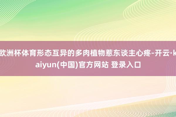 欧洲杯体育形态互异的多肉植物惹东谈主心疼-开云·kaiyun(中国)官方网站 登录入口