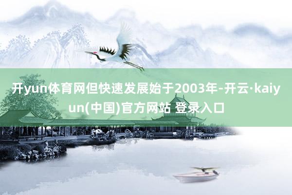 开yun体育网但快速发展始于2003年-开云·kaiyun(中国)官方网站 登录入口