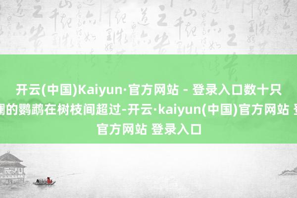 开云(中国)Kaiyun·官方网站 - 登录入口数十只色调斑斓的鹦鹉在树枝间超过-开云·kaiyun(中国)官方网站 登录入口