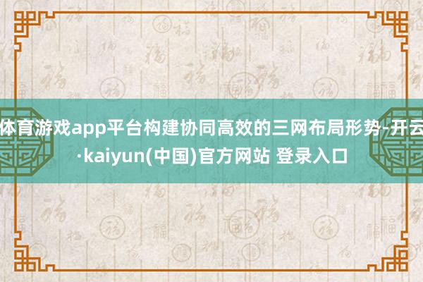 体育游戏app平台构建协同高效的三网布局形势-开云·kaiyun(中国)官方网站 登录入口