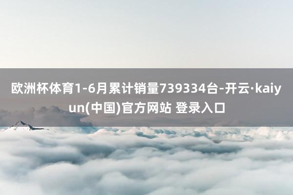 欧洲杯体育1-6月累计销量739334台-开云·kaiyun(中国)官方网站 登录入口