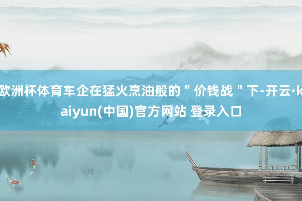 欧洲杯体育车企在猛火烹油般的"价钱战"下-开云·kaiyun(中国)官方网站 登录入口