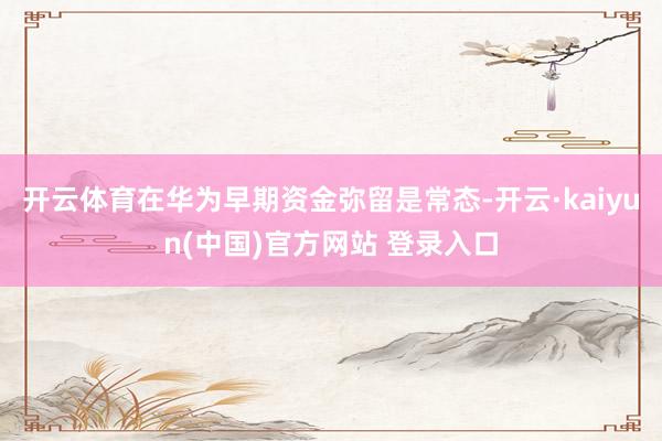 开云体育在华为早期资金弥留是常态-开云·kaiyun(中国)官方网站 登录入口