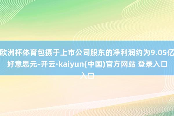 欧洲杯体育包摄于上市公司股东的净利润约为9.05亿好意思元-开云·kaiyun(中国)官方网站 登录入口