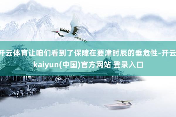 开云体育让咱们看到了保障在要津时辰的垂危性-开云·kaiyun(中国)官方网站 登录入口