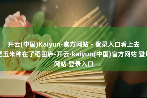 开云(中国)Kaiyun·官方网站 - 登录入口看上去像是把玉米种在了稻田庐-开云·kaiyun(中国)官方网站 登录入口