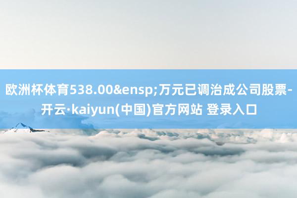 欧洲杯体育538.00&ensp;万元已调治成公司股票-开云·kaiyun(中国)官方网站 登录入口