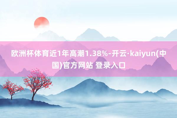 欧洲杯体育近1年高潮1.38%-开云·kaiyun(中国)官方网站 登录入口